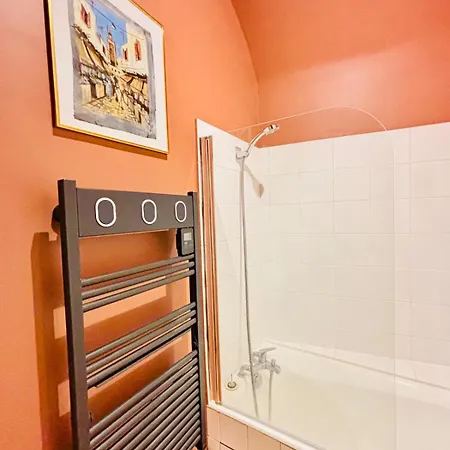 Les Cactus #maisonsavaron Apartament Clermont-Ferrand