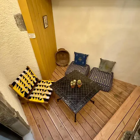 Les Cactus #maisonsavaron Clermont-Ferrand