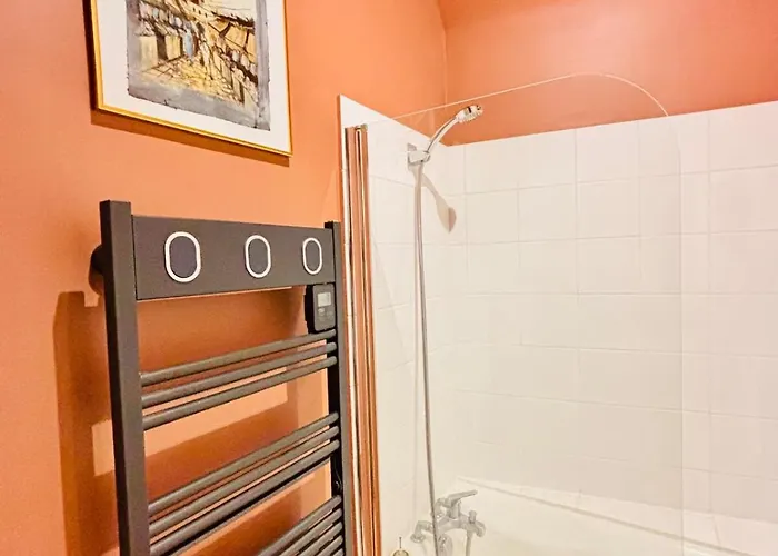 Les Cactus #maisonsavaron - 52m2 - Terrasse Апартаменты Клермон-Ферран